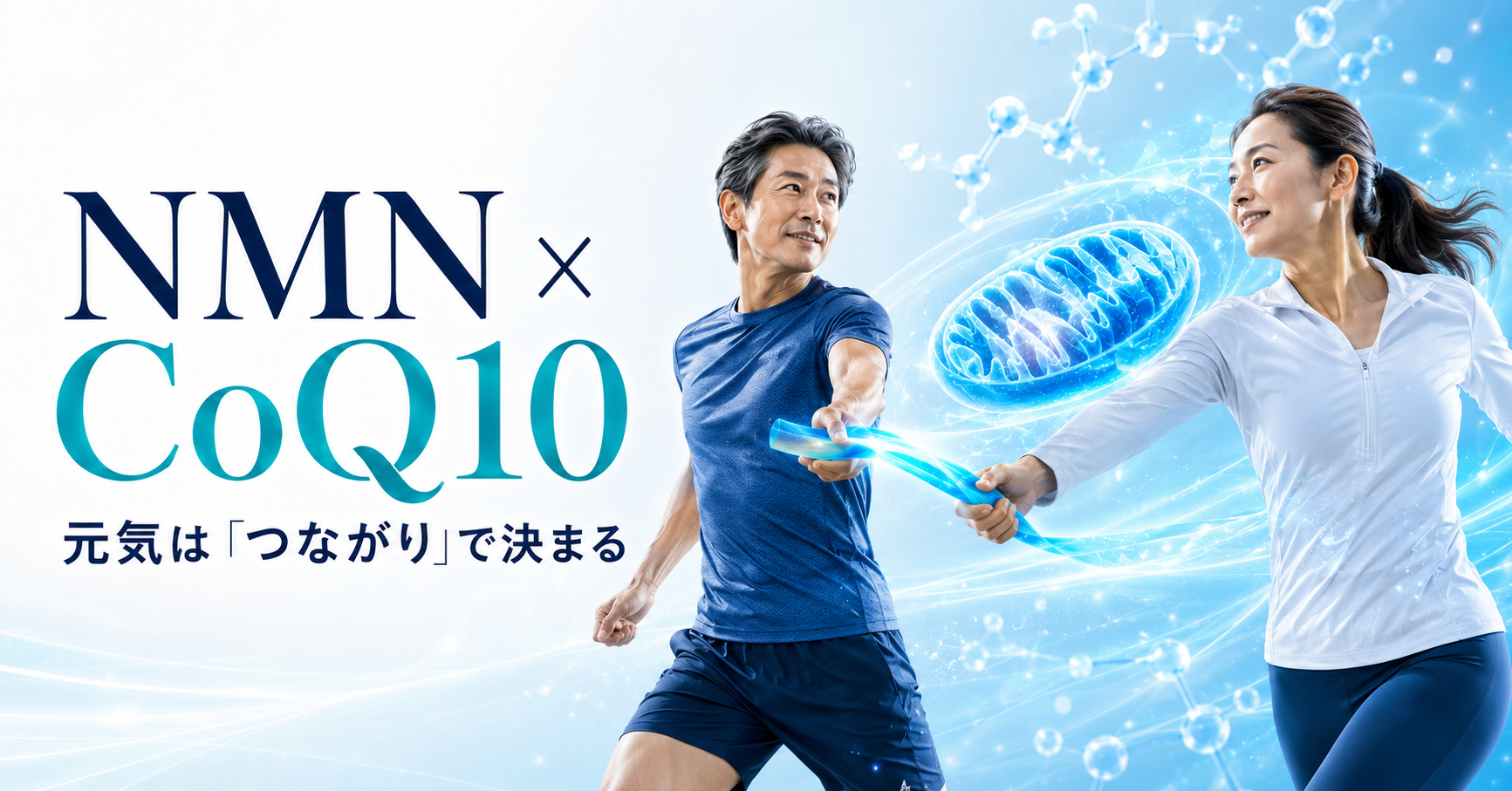 NMNとCoQ10、「どちらが効くか」では見えてこないこと